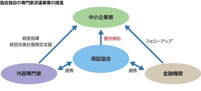 協会独自の専門家