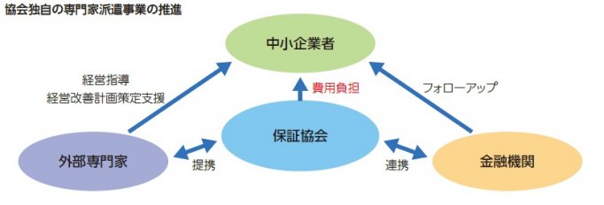 協会独自の専門家派遣